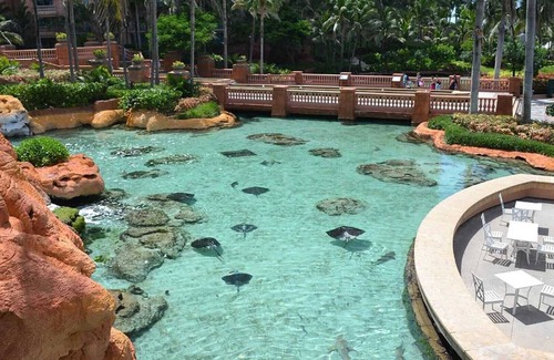 Paradise Island Complejo | 2 Bedroom Deluxe - Harborside Resort at Atlantis - Full Resort Access