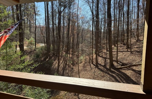 Deep Gap Chalet De Esquí | 2BR, 2 BA rustic mountainside cabin near Boone and Blowing Rock