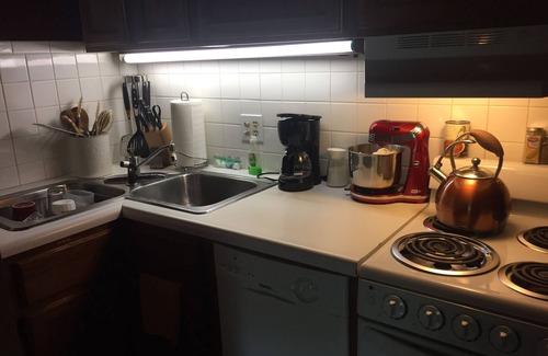 Central Hyde Park Apartamento | 2 BR Apt in Historic Mansion, Off-St Parking, Level 2 EV Chrgr, 1 mi to T-Mobile
