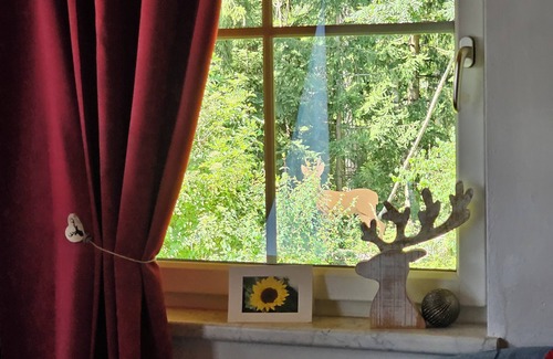 Hoefen Apartamento | 2 comfort apartments TIROL, quiet UNCONVERTED forest location, LIVING ROOM, no pets