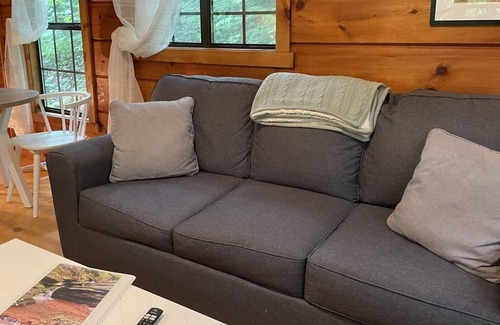 Saluda Cabina | 2 Cozy quiet nestled cabin w/ hot tub, firepit and waterfall in Saluda, NC