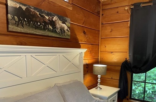 Saluda Cabina | 2 Cozy quiet nestled cabin w/ hot tub, firepit and waterfall in Saluda, NC