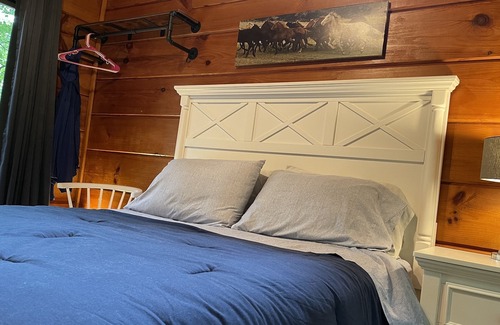 Saluda Cabina | 2 Cozy quiet nestled cabin w/ hot tub, firepit and waterfall in Saluda, NC