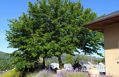 Saint-Geniez-d'Olt Apartamento | 2-ROOM APARTMENT BALCONY SWIMMING POOL VILLAGE GOÉLIA