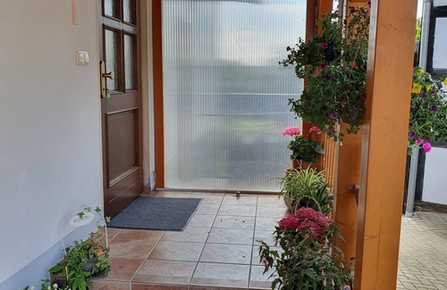 Regis-Breitingen Apartamento | 2 rooms kitchen bathroom up to four persons