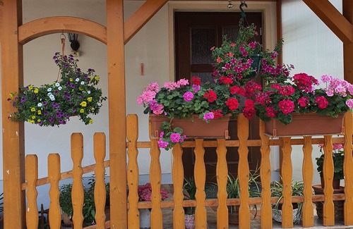 Regis-Breitingen Apartamento | 2 rooms kitchen bathroom up to four persons