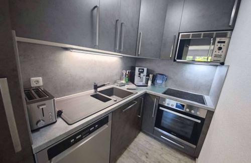 Busenbach Apartamento | 2 Rooms Kitchen Whirlpool Shower-Toilet 75"SAT-TV Terrace Parking for 4+2 Guests