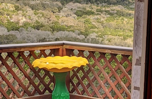Spring Branch Cabaña | Elvenkeep Cottage: 2-story home w/ 2 deck overlooks & 'million dollar' views