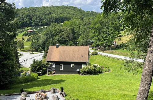 Cullowhee Cabina | 2 Views! Front view of Lake Glenville & back view of Christmas Tree farm!
