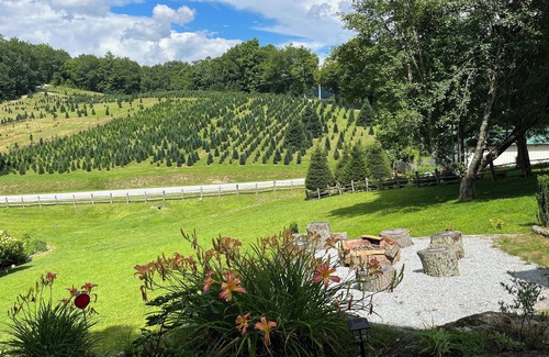 Cullowhee Cabina | 2 Views! Front view of Lake Glenville & back view of Christmas Tree farm!