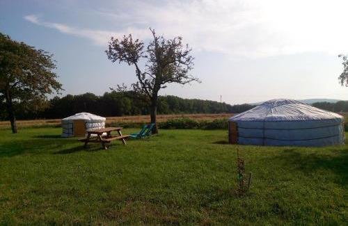 Druyes-les-Belles-Fontaines Otro | 2 Yourtes au naturel