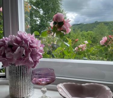 Llanidloes Casa | 200 year old Gardener's cottage, Mid Wales