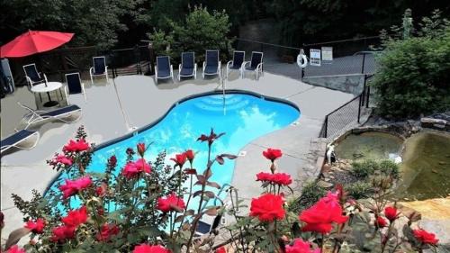 Hidden Hills Casa | 22 in Gatlinburg! Free tickets to Dollywood & more! Resort Pool