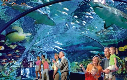 Hidden Hills Casa | 22 in Gatlinburg! Free tickets to Dollywood & more! Resort Pool