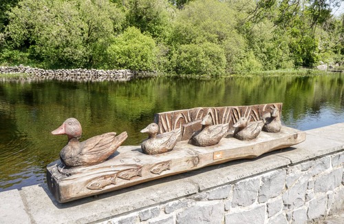 Ballinrobe Cabaña | 22 Town Place