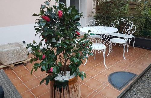 Ceret Apartamento | 23 Rue Jean Amade