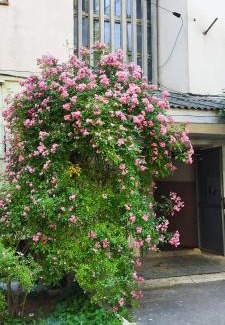 Chisinau Apartamento | 24 на 24, 2 спальни - аэропорт