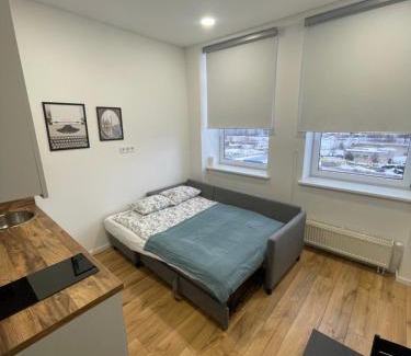Vilnius Apartamento | 25 Airport Apartment