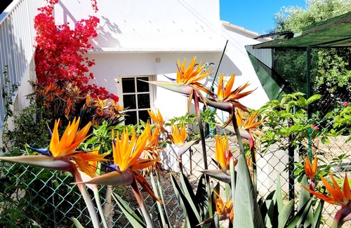 Le Brusc Casa | 28 m2 gîte, 400 m from the beach, swimming pool and terrace