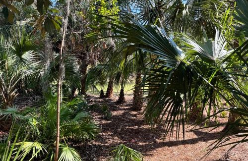 Night Heron Casa | 28 Night Heron - Two bedroom, two bath, pet friendly, 5 min walk to beach and pool