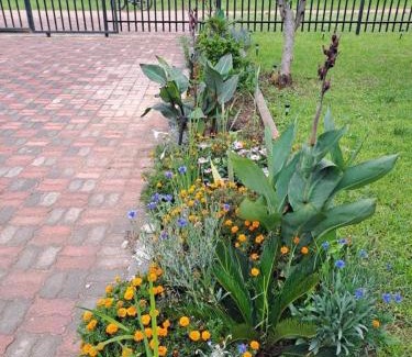 Harare Casa | 2Bed-4Guests-Garden-NearCentre&Attractions
