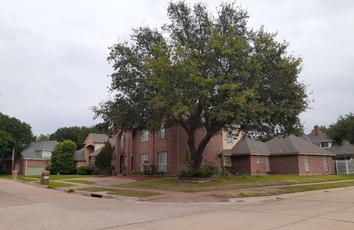 North Arlington Apartamento | 2bedroom apartment in fantastic Arlington with AC,WiFi, fitness room ,no kitchen