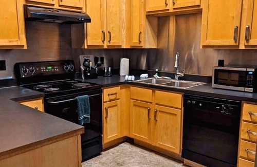Downtown St. Louis Apartamento | 2BR with W&D Mins To Americas Ctr STL Downtown