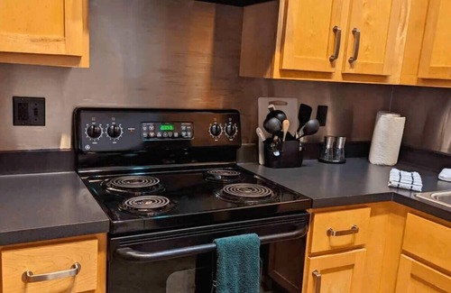 Downtown St. Louis Apartamento | 2BR with W&D Mins To Americas Ctr STL Downtown
