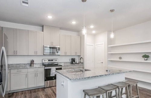 Elmo Apartamento | 3 BDR Texas Corporate Housing Professional Apt