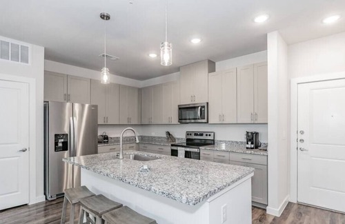 Elmo Apartamento | 3 BDR Texas Corporate Housing Professional Apt