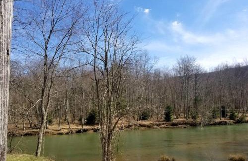 Byrnedale Casa | 3 bed/2 bath Riverside cabin