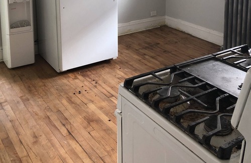 Roseland Apartamento | 4 bedroom apartment in Roseland