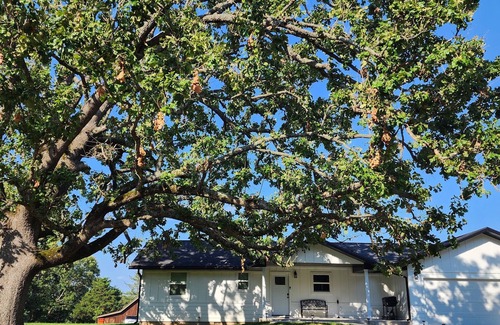 Arrow Point Casa | 3-bedroom 3 bath House at Sweetwater Beach. Kings River Arm of Table Rock Lake