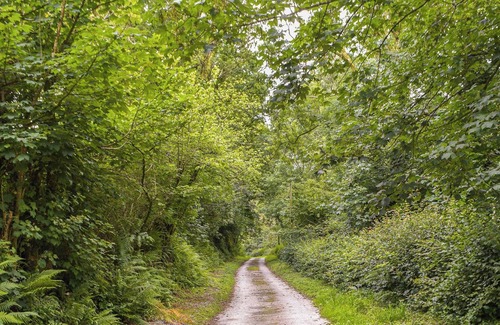 Carmarthen Cabaña | 3 bedroom accommodation in Meidrim, near Carmarthen
