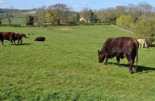 Tetford Cabaña | 3 bedroom accommodation in Tetford, near Horncastle