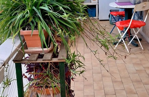 Estanove Apartamento | 3 Bedroom Apartment in Montpellier