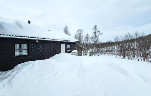 Tinn Apartamento | 3 Bedroom Awesome Apartment In Rjukan