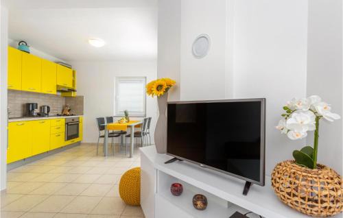 Cizici Apartamento | 3 Bedroom Cozy Apartment In Dobrinj