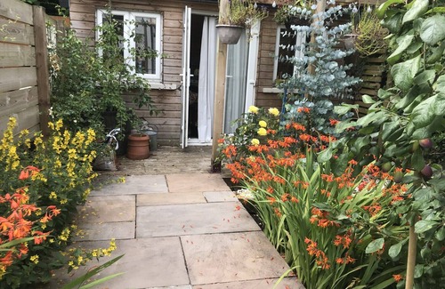 Adamsdown Casa | 3 bedroom house near the centre of Cardiff
