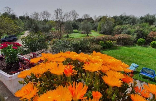 Campagnano di Roma Casa | 3 Bedroom Private vacation home in Campagnano di Roma