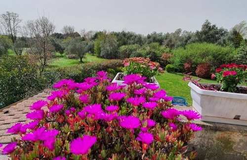Campagnano di Roma Casa | 3 Bedroom Private vacation home in Campagnano di Roma