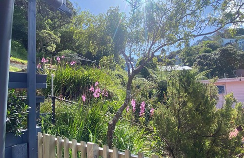 Wellington Casa | 3 Bedroom Passive Haus in the lush Aro Valley