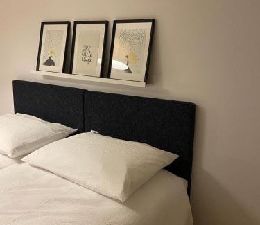 Alt-Wiedikon Apartamento | 3 BR Duplex in Wiedikon