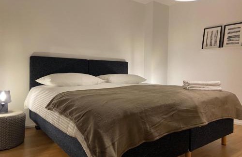Alt-Wiedikon Apartamento | 3 BR Duplex in Wiedikon