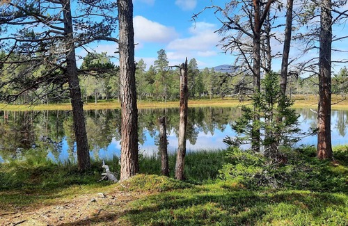 Svenstavik Casa | 3 person holiday home in Svenstavik