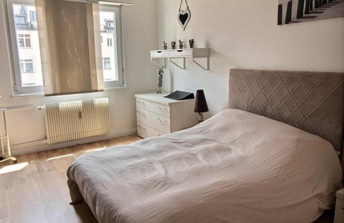 Krutenau Apartamento | 3 pièces en plein centre de Strasbourg