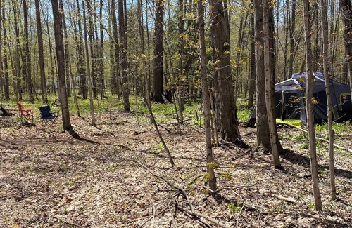 Beulah Alquiler De RV | Private Wooded Campsite for Tents or Small RV's #3