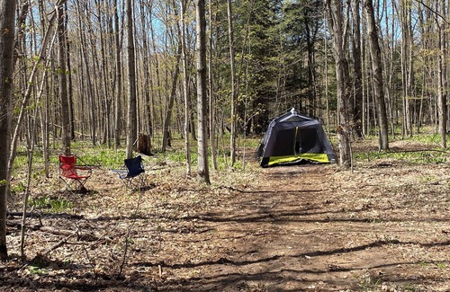 Beulah Alquiler De RV | Private Wooded Campsite for Tents or Small RV's #3