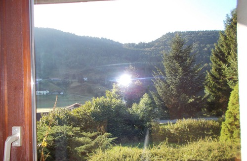 La Bresse Apartamento | 3-room apartment in "Les Pommes de Pin" chalet, with terrace and garden