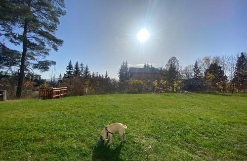 Tatranska Strba Apartamento | 3 Sosny Apartments